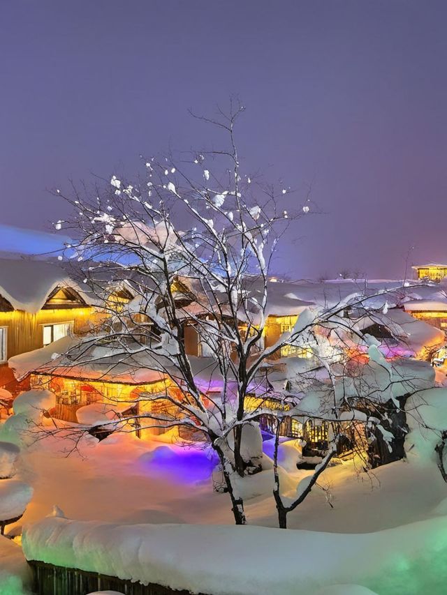 哈爾濱包車遊避坑又省心速碼住