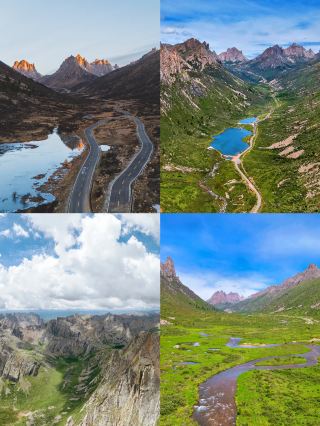 감난×《돌아온 늑대 무리》그린의 고향으로