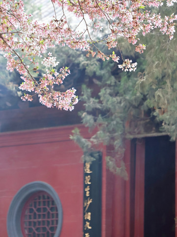 洛陽白馬寺：中国仏教史の半分を巡る深い旅 | Trip.com 洛陽