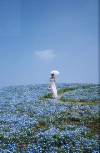 The hillsides of Suzhou are covered with poppies and blue salvia