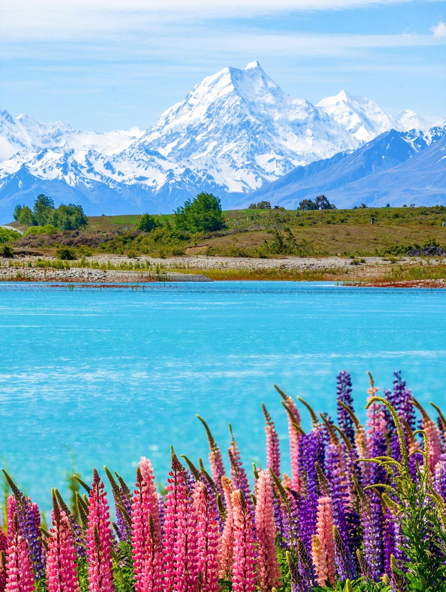 New Zealand 11-Day Guide: Mount Cook + Hobbiton