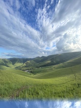 Shandong self-drive grassland ultimate guide: Highway 99