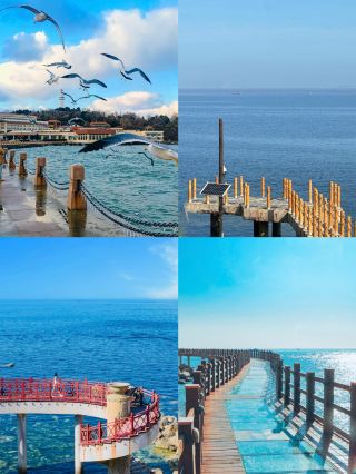 I’m giving up on Weihai! This seaside town is the real vacation gem