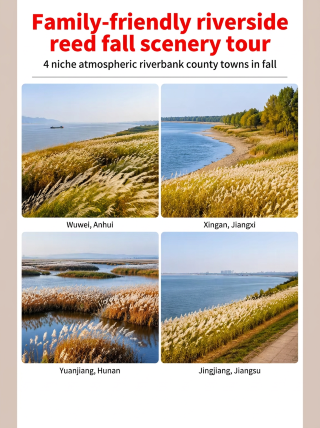 Fall riverside reed family guide | 4 atmospheric, off-the-beaten-path riverside towns  Looking to avoid the crowds this fall? These riverside reed wetlands are perfect for family trips