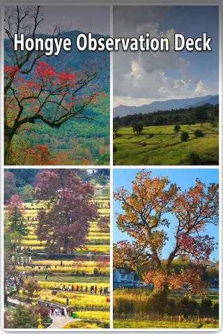 黄山風景区旅行ガイド2026年：観光スポット、グルメ、ホテル、旅行