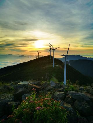 6 must-visit places for your first trip to Yunfu | A slow-paced, Zen-inspired family getaway