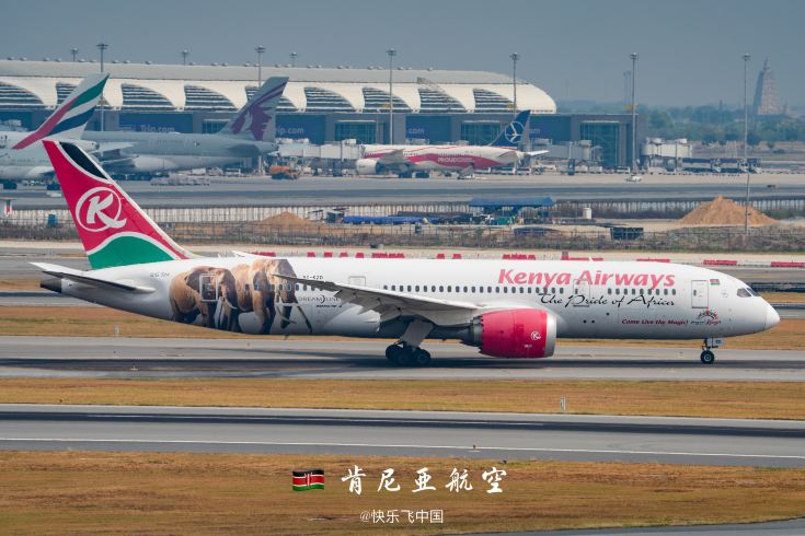 Kenya Airways took 2 elephants and 2 rhinos to the skies