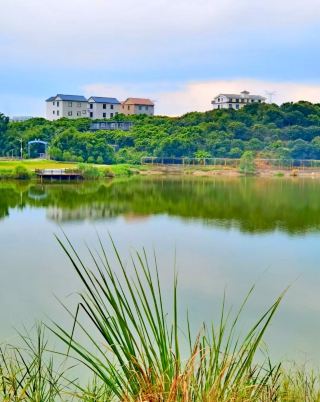 A weekend trip to Genzi, Gaozhou—the Lychee Museum and the countryside meadows are so refreshing!
