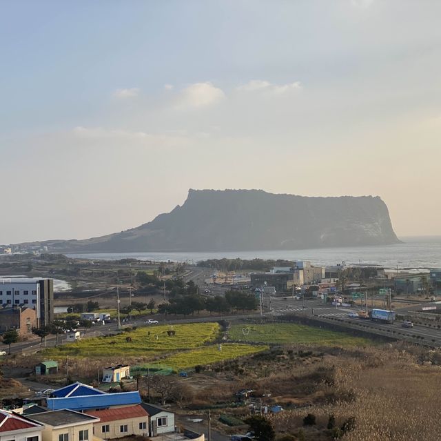 언니 추천 조식 맛집 호텔, 제주성산골든튤립호텔 🌷