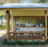 ปลีกวิเวก หัวหิน คาเฟ่เอาใจสายมะพร้าวเลิฟเว่อร์