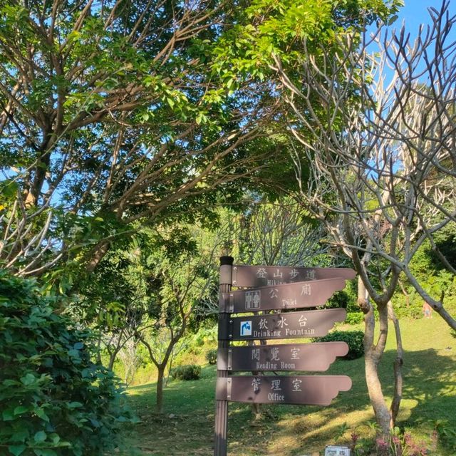幽靜的碧湖登山步道