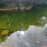 親子好去處—香港公園