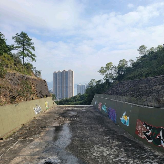 深井行山｜新年觀賞吊鐘花｜欣賞青馬大橋景色 