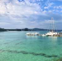 沖縄のキレイな海と魚が満喫できる【ブセナ海中公園】