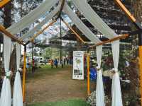 งานรักษ์เหลืองจันท์ ประจำปี 2566 