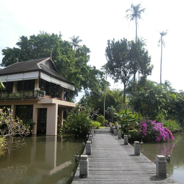 🪷荷花池中的泰日fusion樹屋餐廳🌳 