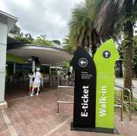 Sentosa Skyline Luge