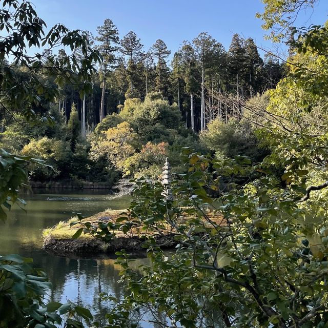 “Kinkaku-ji” - A nice place to 📷 in Kyoto🇯🇵