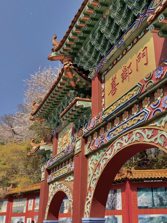 알록달록한 색감에 벚꽃 한스푼 🌸