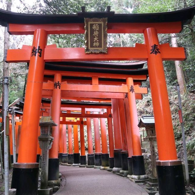 京都 - 千本鳥居