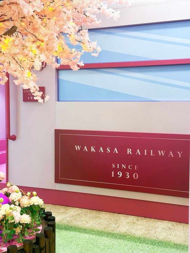 ⭐️原來係最後一日😱黃埔「5月限定櫻花🌸の旅」