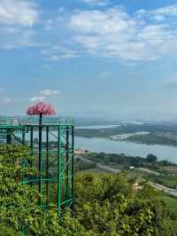 Incredible Mekong Skywalk