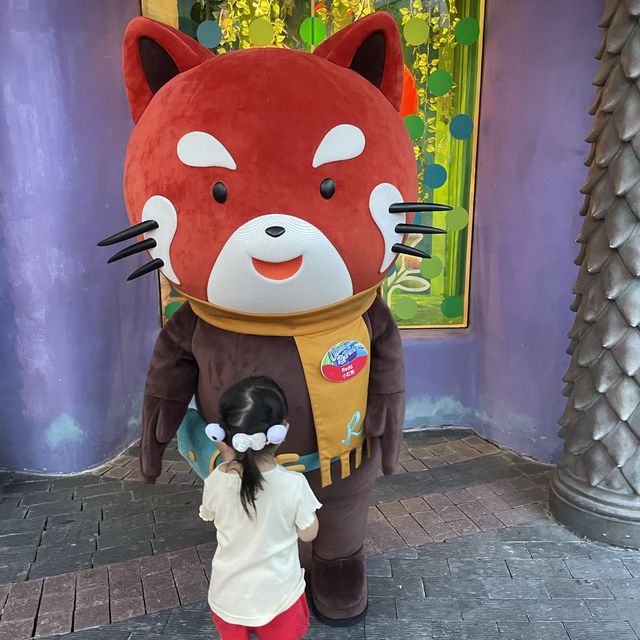 海洋公園😁夏日玩樂之旅