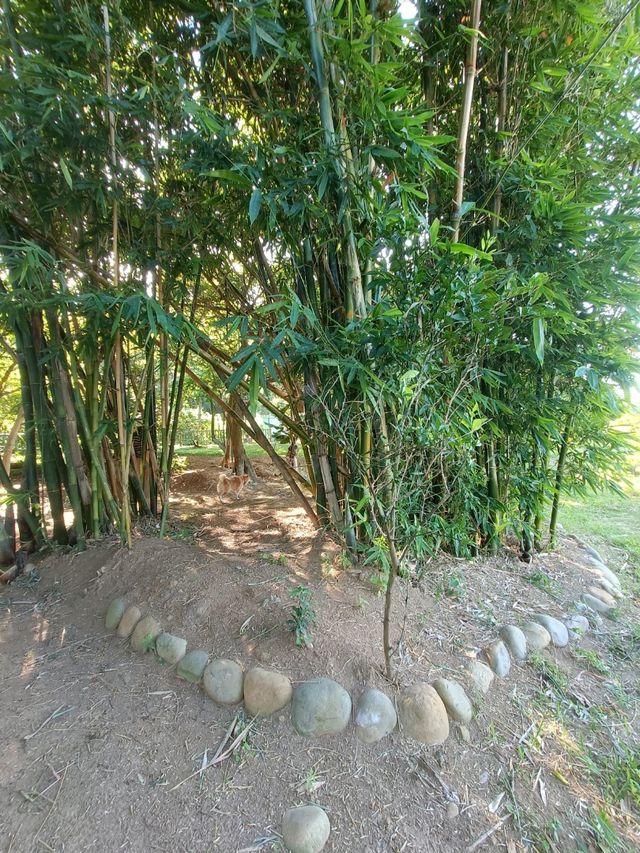 石門大圳過嶺支渠休憩步道