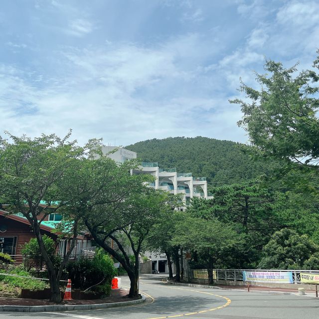 釜山　松島ケーブルカーに乗っていくカフェ