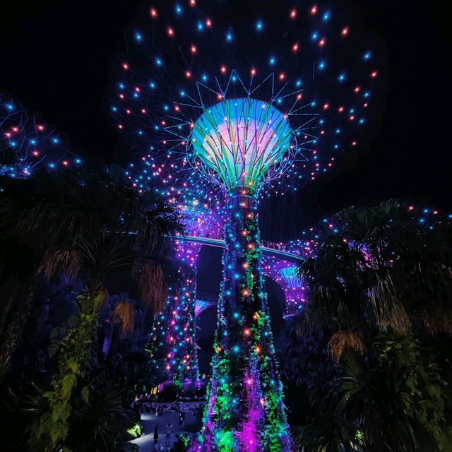 A must watch light show in Singapore 😍