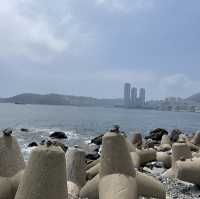 몽돌이 인상적인 해변 🏝️ 흰여울 해변