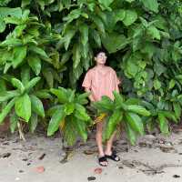 The Westin Siray Bay Resort & Spa, Phuket