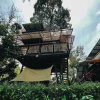 บ้านมังคุด Bann Munkud cafe  