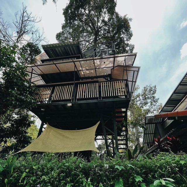 บ้านมังคุด Bann Munkud cafe  