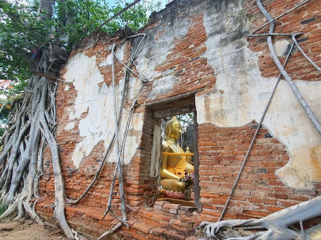 พาชมวัดสังกระต่าย