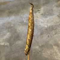 惹味串燒😍😋🌶️食到停唔到口