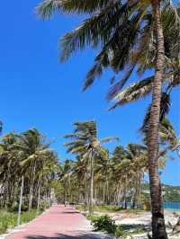 Leaning Coconut Tree