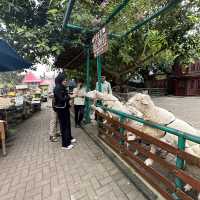 Dutch atmosphere farm house Lembang