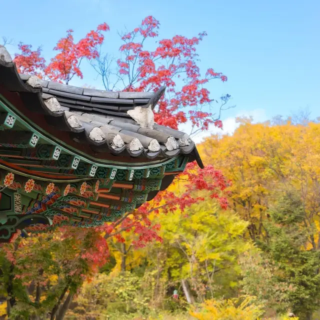 Beautiful Autumn View of Korean folk Village 