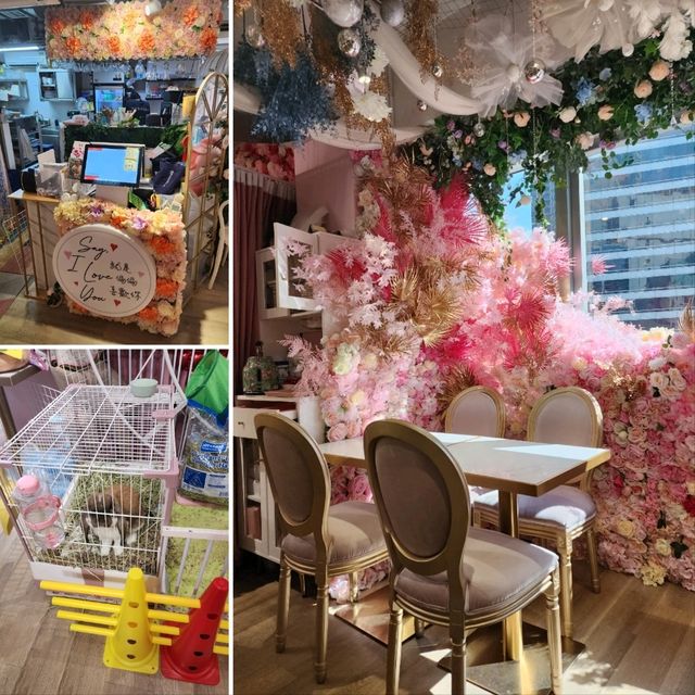 🩷浪漫花海打卡餐廳🩵