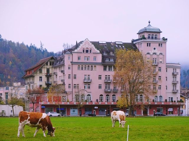 Discover beauty autumn falls in Schaffhausen