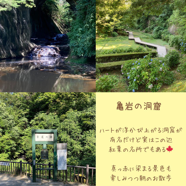 1日で巡れる子連れプラン