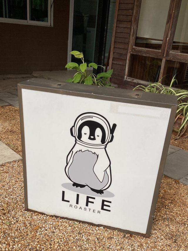 🐧𝐋𝐢𝐟𝐞 𝐑𝐨𝐚𝐬𝐭𝐞𝐫𝐬☕️