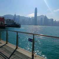 兔飛猛進！祥兔獻瑞！香港尖沙咀，海港城！