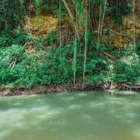 필리핀의 아마존, 보홀 로복강 투어 