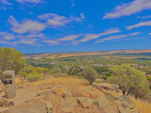 Mt Brown Lookout🏚️😎🤠📸Wongborel🤓