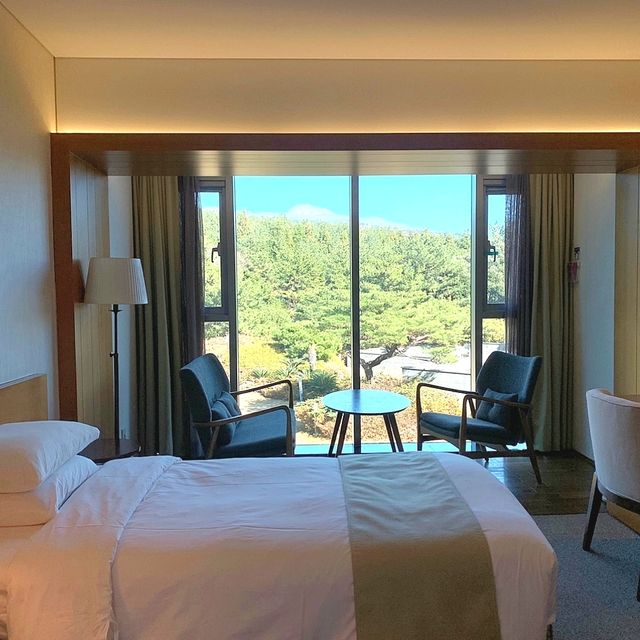 제주도 한라산뷰로 색다른 힐링을 즐겨요