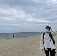 고요한 겨울바다 정취를 만끽할 수 있는 강릉 송정해수욕장🌊