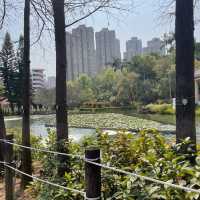 青衣休憩公園🫶🏻草地池塘😍散步🚶🏻‍♀️好去處
