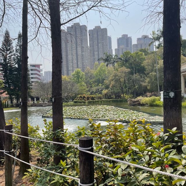 青衣休憩公園🫶🏻草地池塘😍散步🚶🏻‍♀️好去處